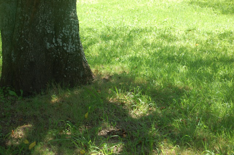 暇な人妻に安全圏を選ばせてあげるのも効果的